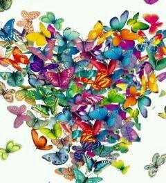 Айганым Зейнолдина