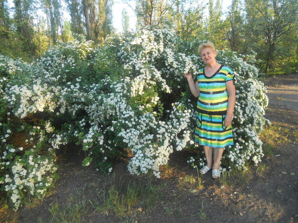 Людмила Авдеева(Сайченко)