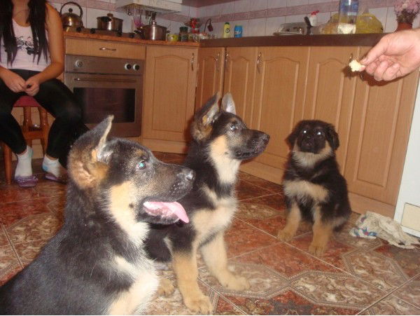 Зиновий Карабин