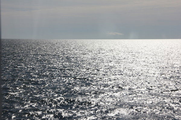 Ирина Парамонова