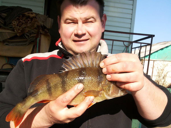 Владимир Маслов