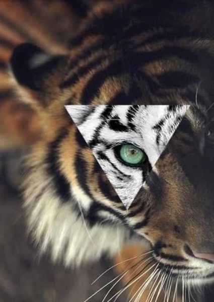 Анна Александрова