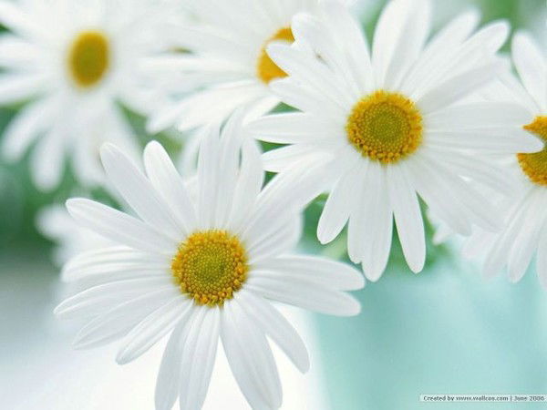 Лариса Трофимова