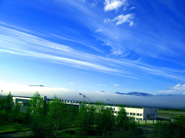 Татьяна Калитко