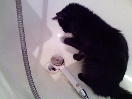 Маша Жукова