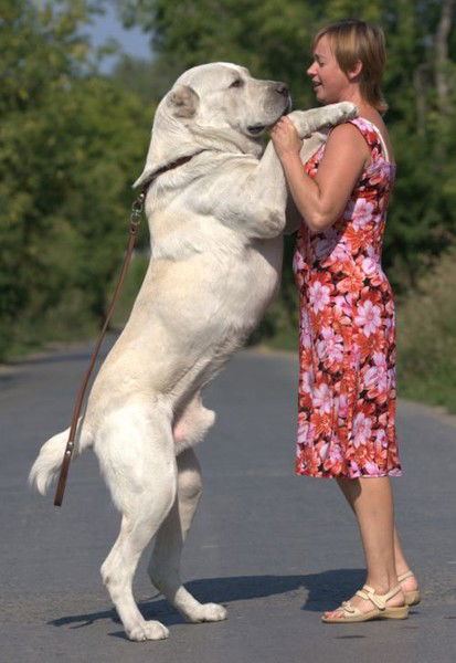 Юлия Ульянова