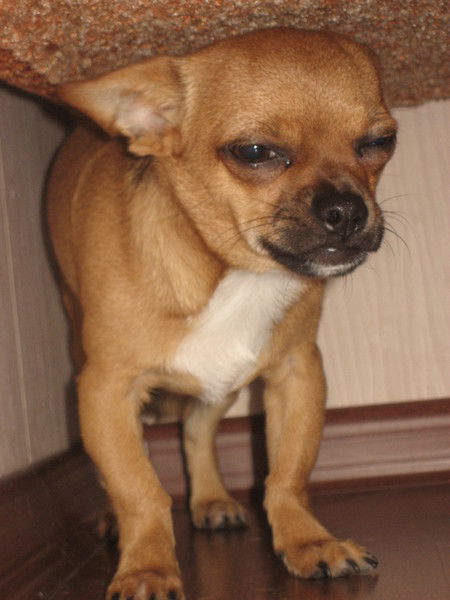 Александр Саитгараев