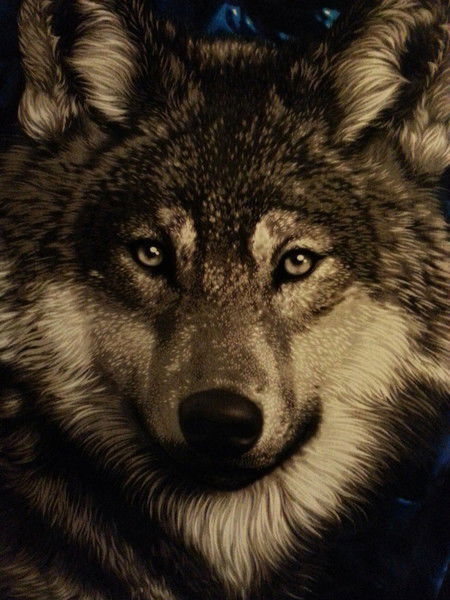 Алим Злавдинов