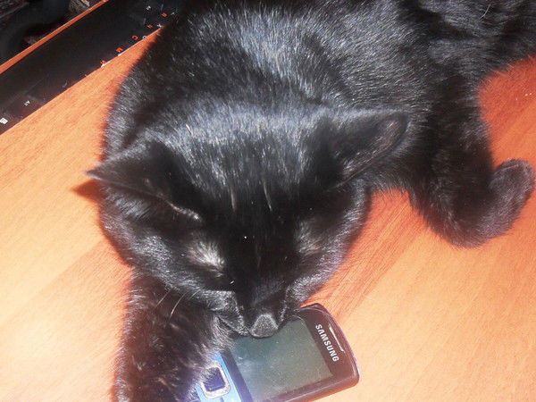 Мансур Саматов