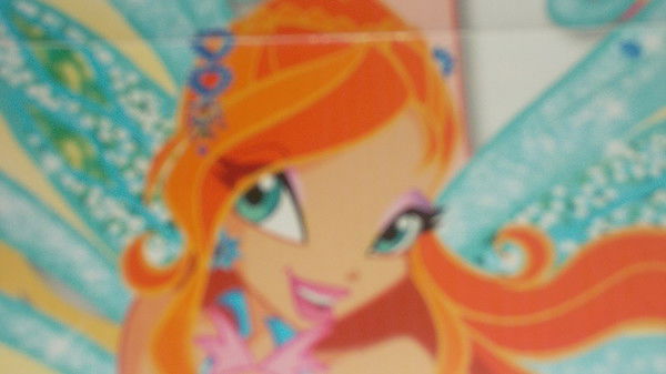 Елена Евграшина