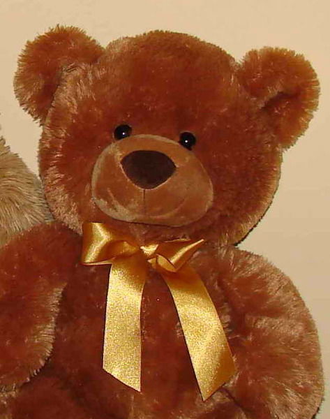 Даша Тараканова