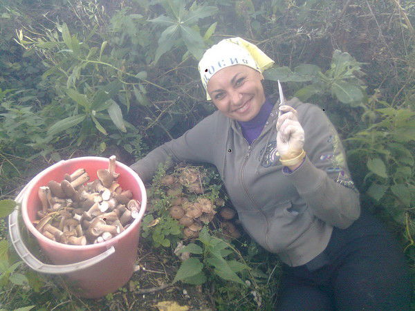 Татьяна Батижевская (Шаповалова)