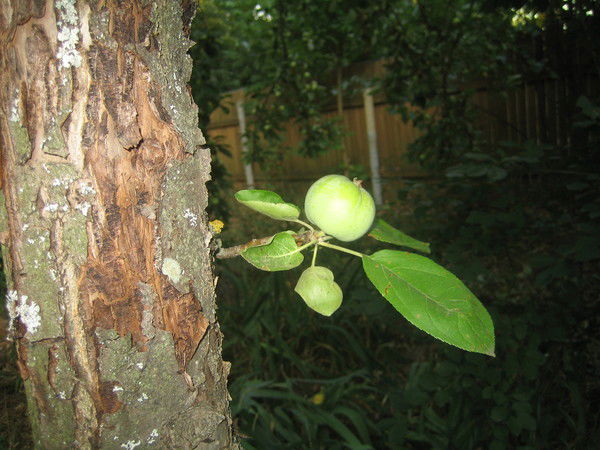 Людмила Мельвиль