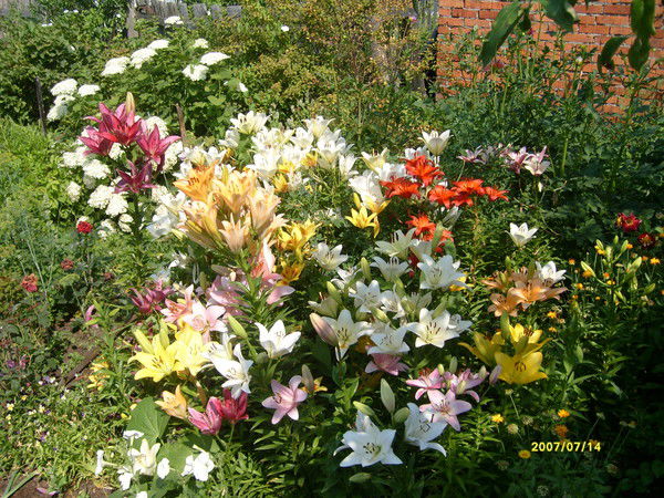 Людмила .......................