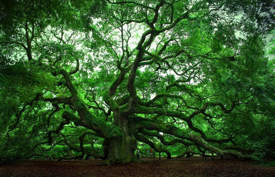 Дмитрий Иванов