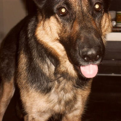 Юлия Коробейникова