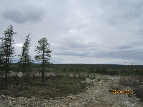 Рита Закирова