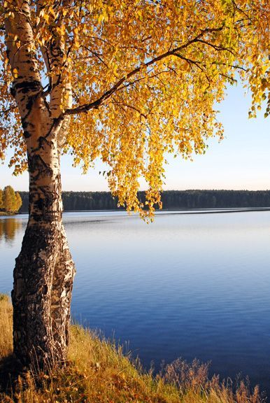 Эдуард Мацуев