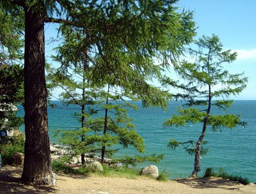 Анастасия Двоеглазова