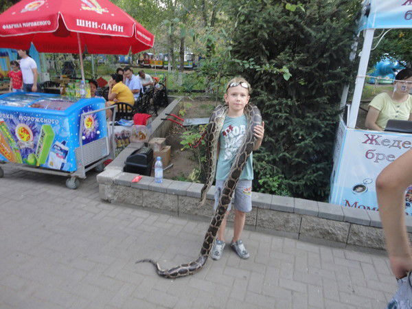 Александр Татьянченко