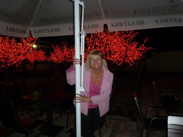 Елена Анисимова