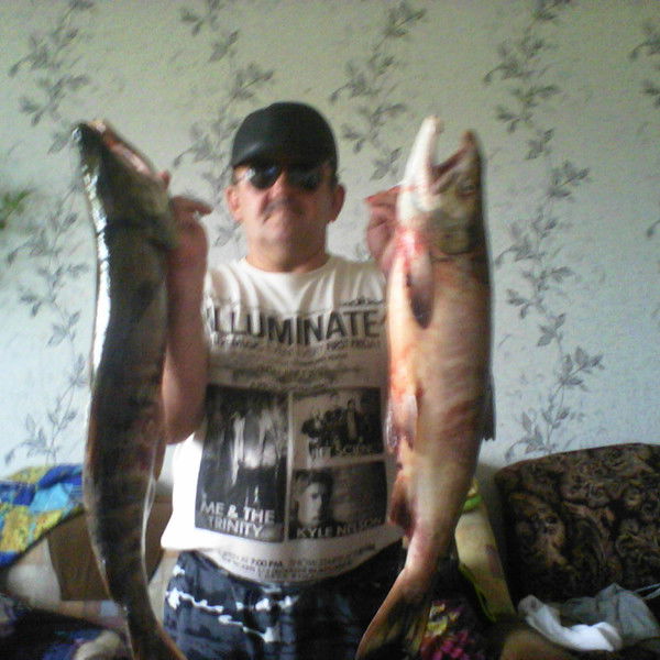 Константин Малибашев