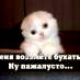 Владимир Exterri