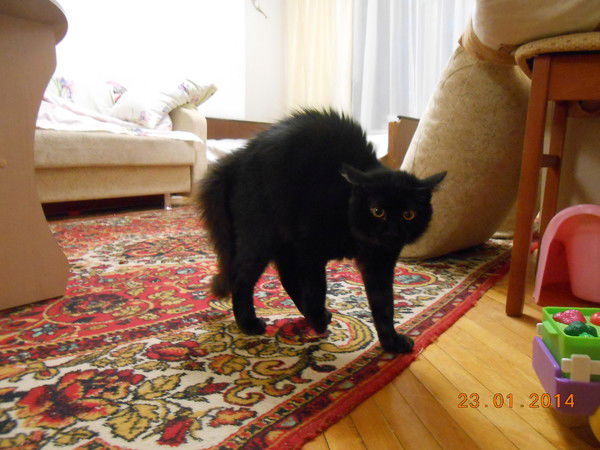 Пётр Бутивщенко