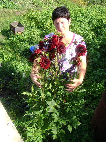 Евгения Калугина