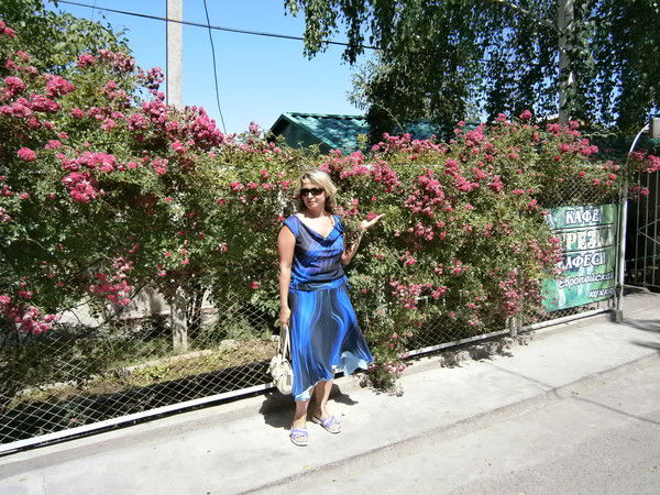 Елена Сергиенко