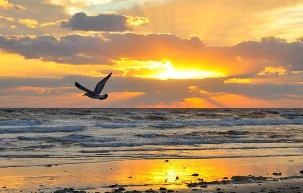 Лиза Константинова