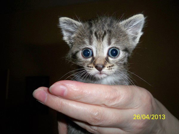 Марина Андриянова