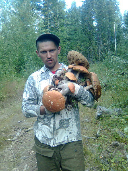 Вячеслав Кулдошин