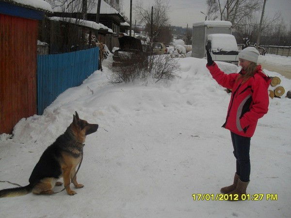 Ирина Локтионова