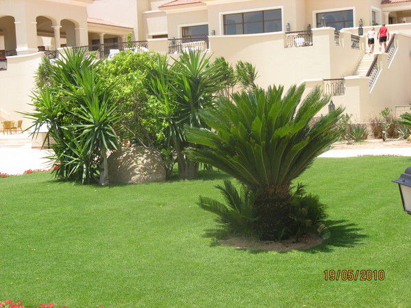 Наталья Волкова