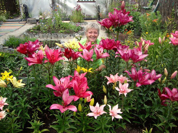 Любовь Камличек