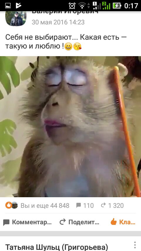 Татьяна Шульц