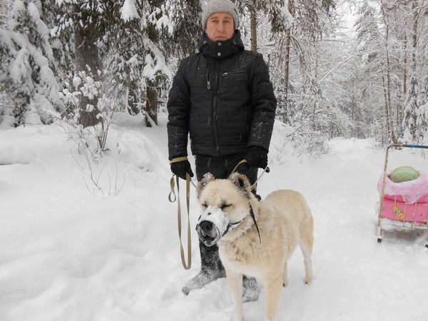 Халиль Салимов