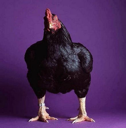 Влад Козьминых