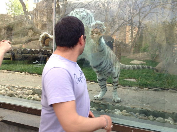 Хабибулла Аманов