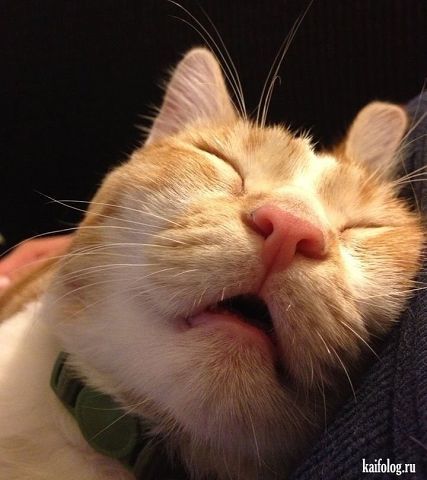 Галина Ефремова