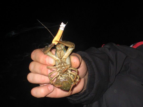 Алексей Любомудров