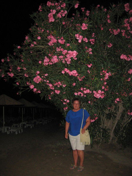 Альбина Типигил