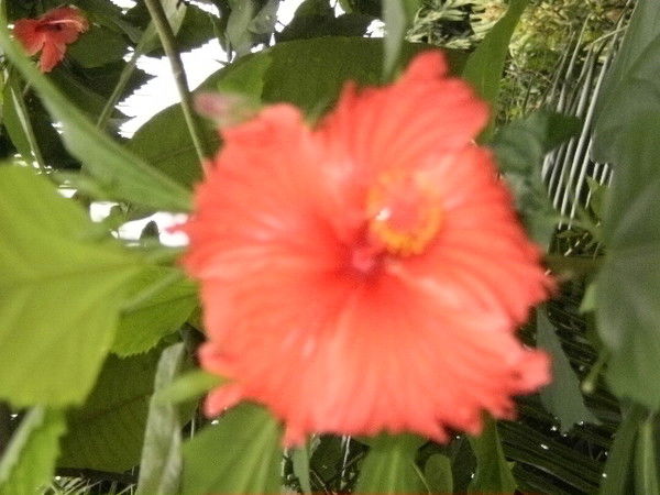 Екатерина Зуева