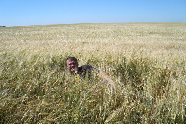 Николай Мертешов