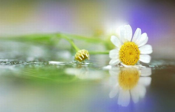 Алена Алёнина