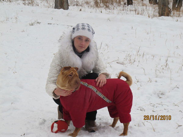 Елена Комар