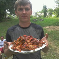 Коля Бровченко