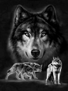 Евгений Анастасьев