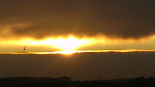 Альберт Байзигитов